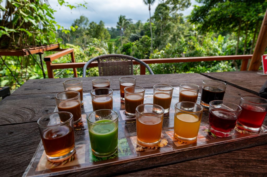 Plantacja kawy Bali