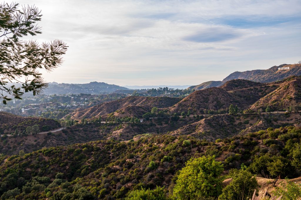 Park Griffith Hollywood