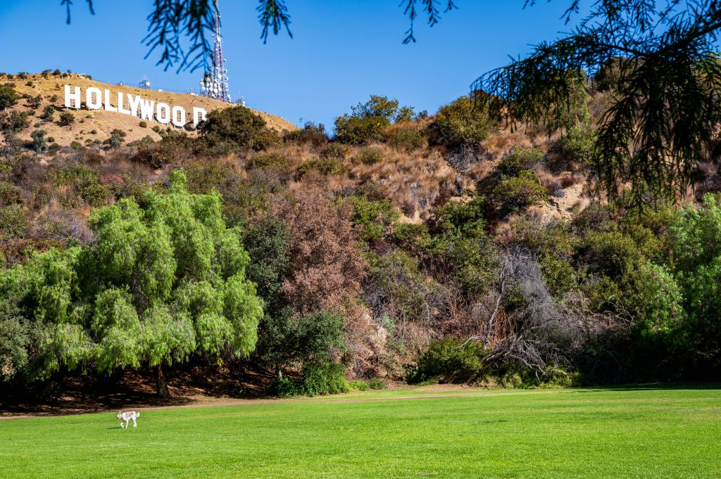 Park Lake Hollywood Los Angeles