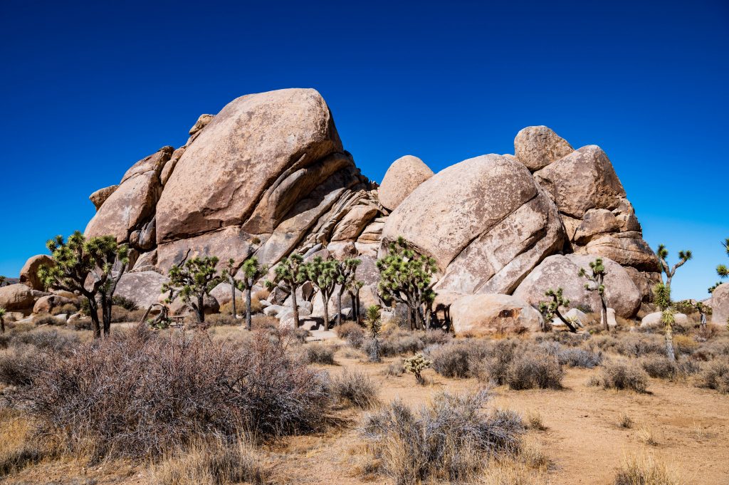 Cap Rock Joshua Park